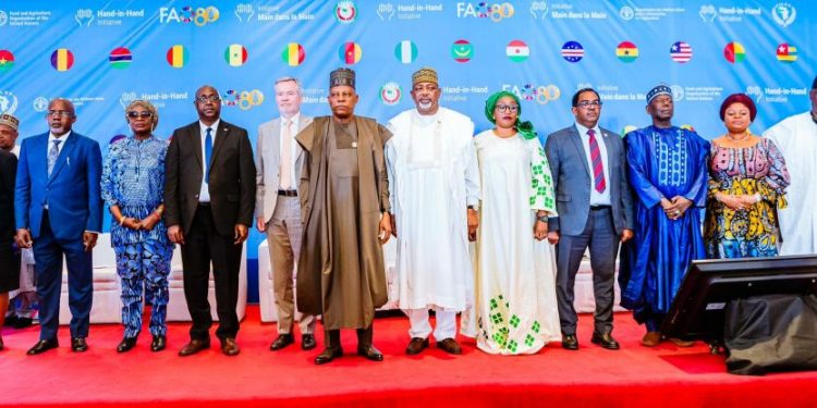 Nigerian Govt Unveils New Incentives to Drive Agricultural Investment, Create Rural Jobs