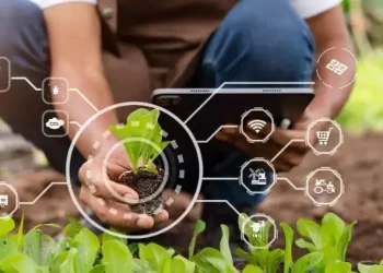 Nigeria Launches Biowaste to Wealth for Climate-Smart Agriculture