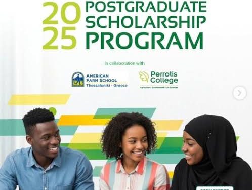 Call for Applications: Flour Mills Nigeria (FMN) Postgraduate Scholarship 2025
