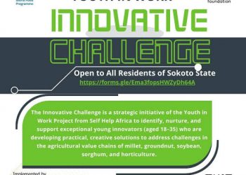 Call for Applications: YiW Innovative Challenge For Entrepreneurs ( Up To 2Million Grant)