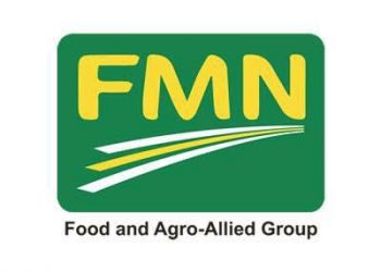 Flour Mills of Nigeria Leads National Silo Revamp, Strengthening Food Security Efforts