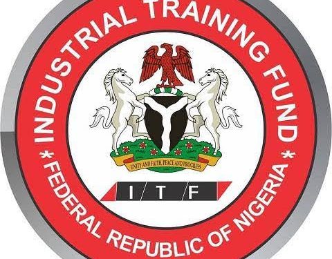 ITF Launches Global Talent Programme to Export Skilled Nigerian Youths