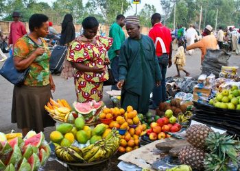 Nigeria to Deploy Off-Grid Refrigeration to Boost Food Security, Livestock Health, and Small Business Growth