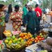 Nigeria to Deploy Off-Grid Refrigeration to Boost Food Security, Livestock Health, and Small Business Growth