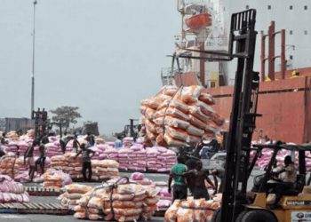 US Faults Nigeria’s Poor Implementation of Duty-Free Food Import Policy, Says SMEs Lost Out