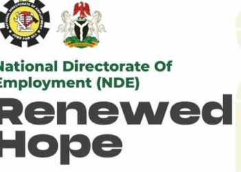 NDE Trains Over 41,000 Nigerians in Second Phase of Renewed Hope Employment Initiative