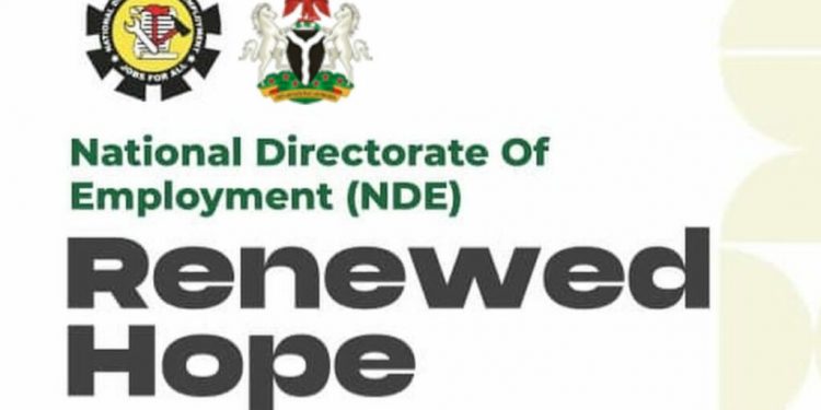 NDE Trains Over 41,000 Nigerians in Second Phase of Renewed Hope Employment Initiative