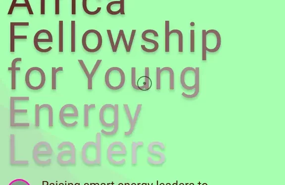 Africa Fellowship for Young Energy Leaders