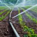 Nigeria, Sahel Countries Launch $8 Billion Irrigation Drive to Strengthen Food Security