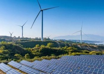 Nigerian Govt Calls for Local, Global Partnerships to Drive Renewable Energy Growth