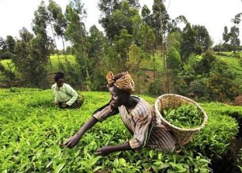 Ikorodu Tech Hub Trains Youths with Disabilities, Orphans in Digital Skills