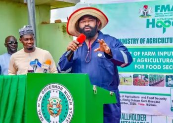 Niger State to Establish Cooperative Bank for Agriculture with N2bn Seed Capital