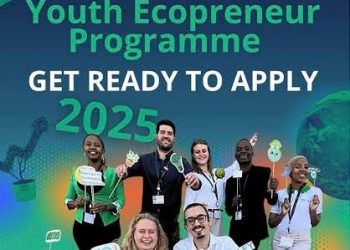 Call For Applications: Youth Ecopreneur Program (YECO)  ( Up to $100,000 Seed Funding)