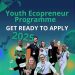 Call For Applications: Youth Ecopreneur Program (YECO)  ( Up to $100,000 Seed Funding)