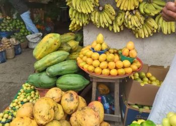 NAFDAC Warns  Fruit Sellers Against Use of Harmful Ripening Chemicals