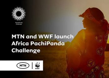 Nigeria PachiPanda Challenge 2025 for Youth and SMEs – Applications Open (Up to ₦6 Million in Grant Prizes)