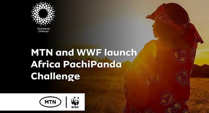 Nigeria PachiPanda Challenge 2025 for Youth and SMEs – Applications Open (Up to ₦6 Million in Grant Prizes)