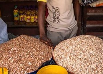 Beans Hit New Highs in Lagos While Pepper and Melon Fall Sharply in September 2025