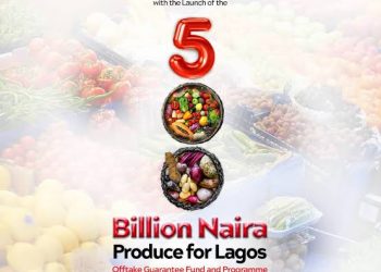 Lagos Begins Farmer Registration for N500 Billion ‘Produce for Lagos’ Scheme