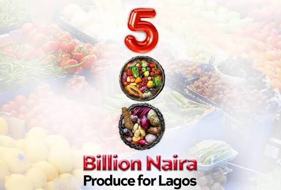 Lagos Begins Farmer Registration for N500 Billion ‘Produce for Lagos’ Scheme