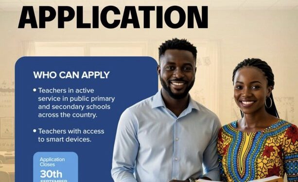 Call For Applications: MTN – SAIL Teachers’ Fellowship Program 2025 for Nigerian Public School Teachers