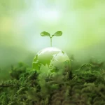Nigerian Govt, Estonian Stakeholders Set to Launch $400m Agric Initiative in LGAs