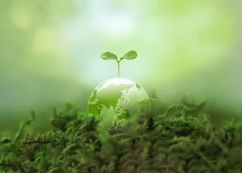 Nigerian Govt, Estonian Stakeholders Set to Launch $400m Agric Initiative in LGAs