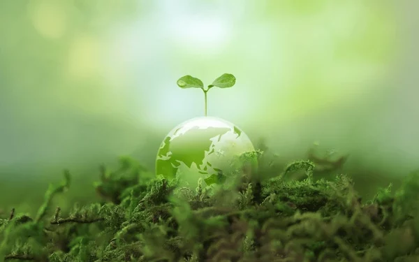 Nigerian Govt, Estonian Stakeholders Set to Launch $400m Agric Initiative in LGAs