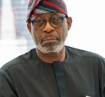 Africa Must Stop Exporting Raw Minerals, Build Industries at Home – Alake