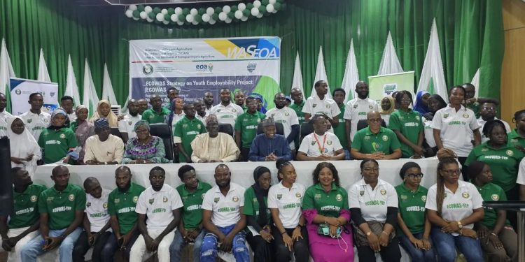 Nigerian Smallholder Farmers Earn Over $40m Under IFAD-Backed Value Chain Programme