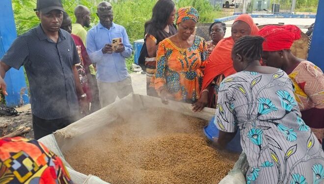 Nigerian Govt Trains Kogi Rice Farmers on Modern Processing Techniques