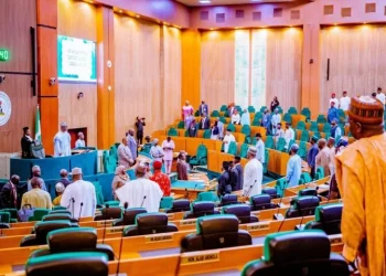 Nigeria’s House of Reps Launches Initiative to Empower Cassava Farmers, Boost Food Security