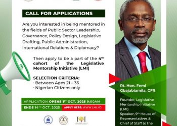 Legislative Mentorship Initiative (LMI) Cohort 4 Fellowship Programme for Young Nigerians 2025
