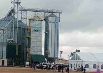₦5bn AgroCity Doma Project Launched to Industrialise Sesame Production in Nasarawa