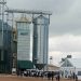 ₦5bn AgroCity Doma Project Launched to Industrialise Sesame Production in Nasarawa