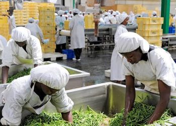 Swedfund Commits $15m to Boost Credit Access for Low-Income Public Workers in Africa
