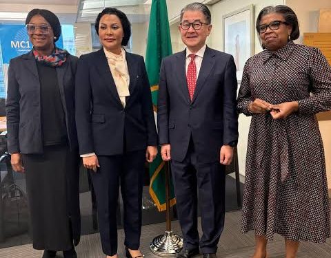 Nigeria Deepens Ties with JICA and MIGA to Attract Foreign Investments