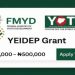 Federal Government Reopens YEIDEP Application for Youth Entrepreneurs