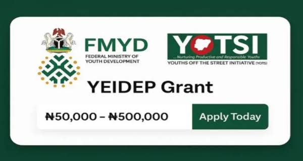 Federal Government Reopens YEIDEP Application for Youth Entrepreneurs