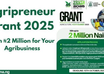 Nigerian Government, Leventis Foundation Partner to Award N2m Grants to Young Agripreneurs