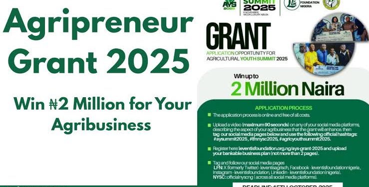 Nigerian Government, Leventis Foundation Partner to Award N2m Grants to Young Agripreneurs