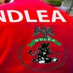 NDLEA Launches Digital Platform to Streamline Visa Clearance Nationwide, Drug Test NDLEA Launches Digital Platform to Streamline Visa Clearance Nationwide, Drug Test
