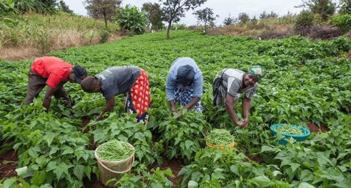 Ikeja Electric, LECAN Empower 100 Electricians on Safety and Industry Best Practices