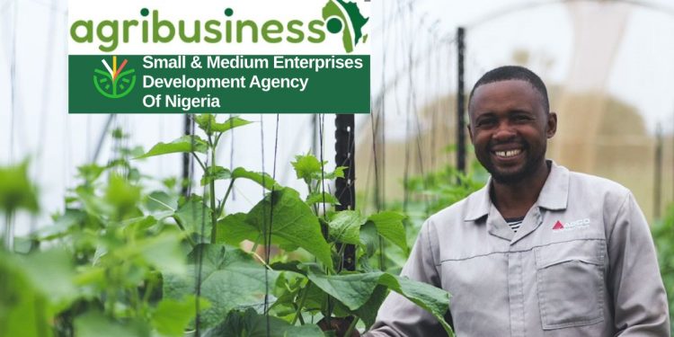 Agric-SMEs Explore Funding and Growth Opportunities at EDC-AGRA Forum