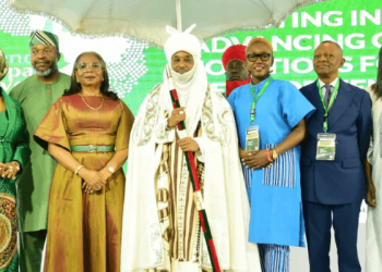 Banks Should Reveal Loans to Women-Led Businesses to Boost Inclusive Financing—Sanusi