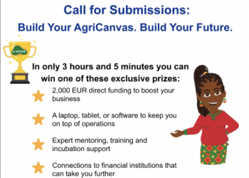 ComCashew e-MOVE “Build Your AgriCanvas” Fund – Chance to Get €2,000, Mentorship & Tools