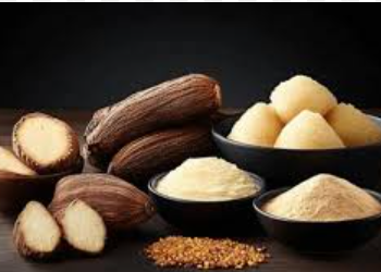 Shea Nut Prices Rebound as Export Ban Boosts Local Processing and Value Addition