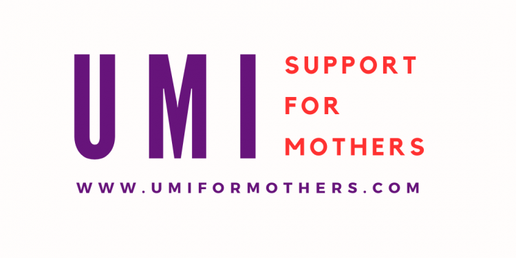 Umi Mentorship Program For Africans 2026