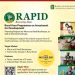 Bank of Industry RAPID Programme 2025