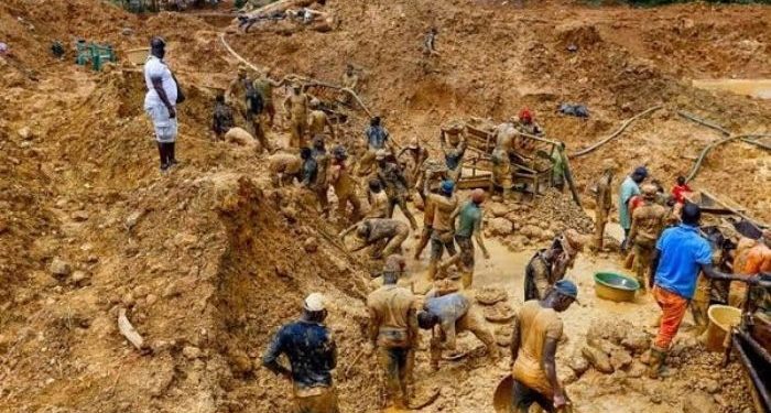 NEF Push for Mining Reforms to Boost SMEs, Jobs, and Economic Growth